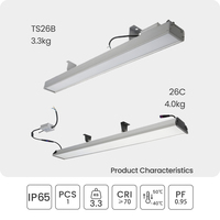 Luz de túnel LED para exteriores 20-100W con clasificación IP65 Cuerpo de lámpara de material metálico para uso en túneles