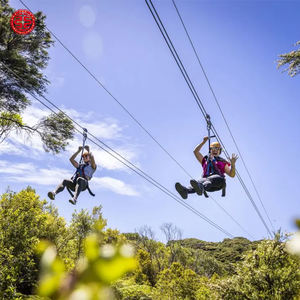 Adventure Zip line Siège Volant Câble Métallique en Acier Inoxydable Kit Zip Line Extérieur avec Accessoires Complets - Product Image 4