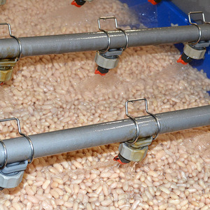 La fornitura diretta In fabbrica può alimentare fagioli di burro bianco con Private Label rene bianco confezionato In un barattolo di funghi Shitake
