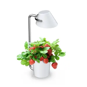3盆高度可调，带植物支撑杆白色发光二极管芯片水位指示器室内药草花园灯