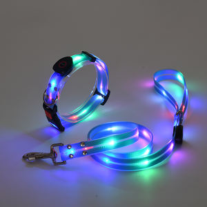 Set Guinzaglio e Collare per Cani Regolabile Anti-smarrimento, Luminoso al Buio, in Nylon Impermeabile - Product Image 3