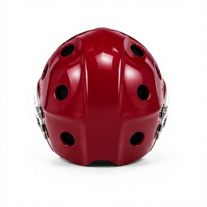 Casques de gardien de but de hockey sur gazon en gros, équipements de protection personnalisés pour clubs sportifs et distributeurs - Product Image 3