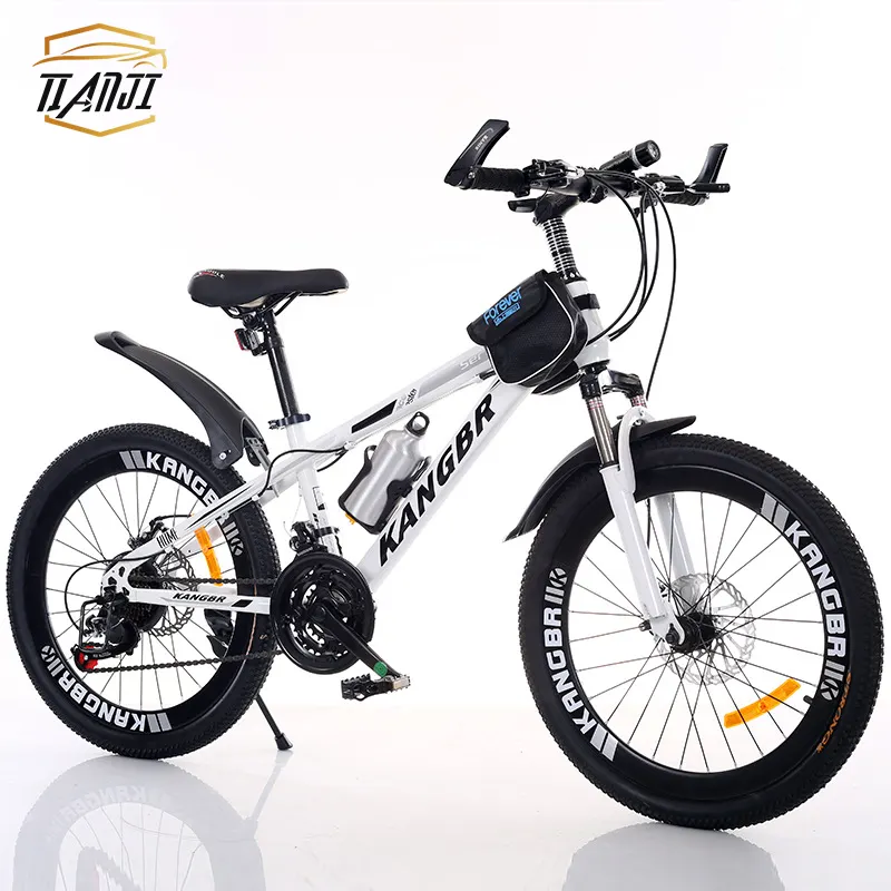 High Quality 21 Speed Customized Adult Racing Bicycles Mountain Bike