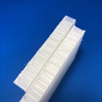 4x8 Feuille Frp Grp Panneau sandwich en nid d'abeille en polypropylène plastique fibre de verre