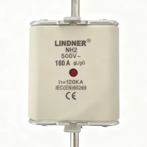 Fusible Cerámico de Cobre LINDER NH2 con Capacidad de Interrupción de 120KA y Certificación CE - Product Image 1