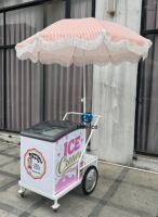 Chariot de présentation de glaces et bâtonnets glacés à refroidissement direct, électrique/à batterie, double tension 110V/220V, 2 roues, antirouille