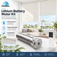 Stores à enroulement électriques sur mesure, rideaux de fenêtre, batterie au lithium, télécommande pour la décoration intérieure moderne du salon et de la chambre