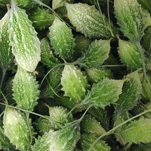 100% Tinh Khiết Tự Nhiên Rau Nước Trái Cây Tập Trung Hoang Dã Mướp Đắng/Bầu Chiết Xuất Đồ Uống Trái Cây Và Nước Ép Rau Loại - Product Image 2