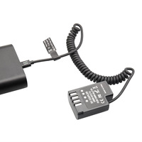 Batterie factice DMW-BLF19 pour caméra Panasoni GH5S/GH4/G9-Alimentation 12V Type-C PD, adaptateur secteur continu pour la diffusion en direct