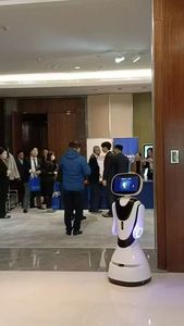 Robot de service intelligent humanoïde multifonction de haute qualité DefiLabs pour les restaurants et les hôtels, personnalisé professionnellement - Product Image 3
