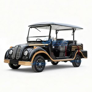 Carrito Eléctrico Clásico de Alta Calidad 2026 para Transporte Especial, Ocio, Hoteles, Golf y Turismo - Product Image 2