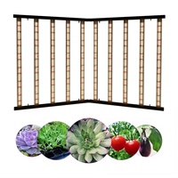 Lampes de culture LED Mint White LM301H Evo 1000W avec PPFD uniforme - Options 720W 600W 240W pour la croissance des plantes