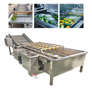 Máquina Automática de Lavado y Limpieza por Burbujas Ultrasónicas para Frutas y Verduras como Arándanos, Mango, Tomate y Aguacate - Product Image 3
