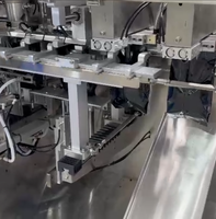 Máquina Automática Multifunción para Pesar y Envasar Gránulos en Doypack