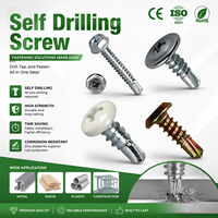 Sekrup Self Drilling untuk Aluminium M3.5, Flange Baja Anti Karat, Bugle Pan, Flat Csk, Hex Wafer, Truss Head, Sekrup Self Drilling yang Dicat
