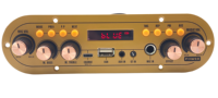   Carte d'amplification audio numérique TWS Karaoké USB AUX MIC Type C