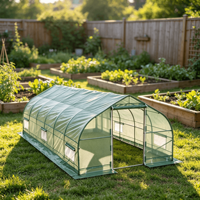 Serre tunnel moderne à toit en pente 10x30 pieds avec structure en acier galvanisé et couverture en PE, robuste pour plantes de jardin
