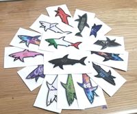 Nuevo Adhesivo Decorativo 3D de Paul Shark 2025, Resistente al Agua, Diseño de Dibujos Animados, Venta al Por Mayor