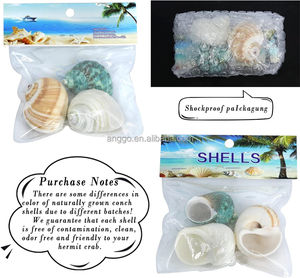 <span class=keywords><strong>Aquarium</strong></span> Decoratieve Materialen Natuurlijk <span class=keywords><strong>Aquarium</strong></span> Microlandschap Heremiet Krab Schelp Schelp Zeeschelpen Zeeschelp - Product Image 4