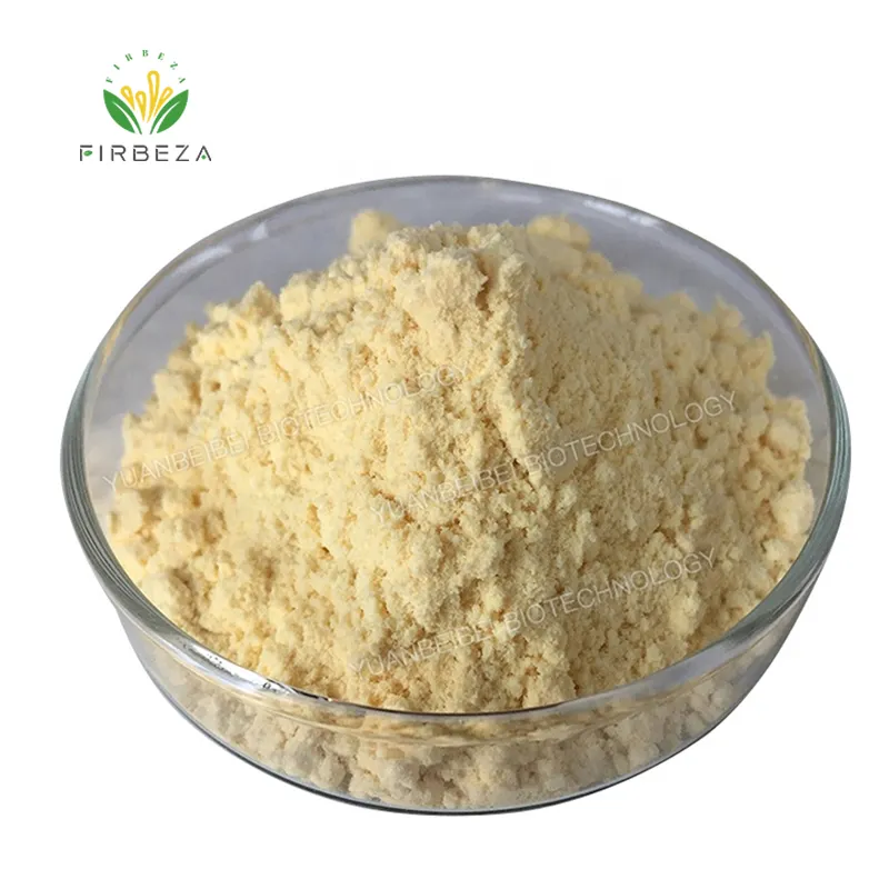 China Manufacturer Wholesale Instant Pure Whey Protein Concentrate WPC 80% WPI 90% Powder