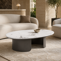 Table basse pour usage domestique, style italien moderne minimaliste, plateau en marbre Pandora, forme ovale, structure en métal, durable et facile à nettoyer