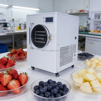 Mini Liofilizador Doméstico de 6-8KG/Batch, Máquina Liofilizadora Económica para Uso Casero