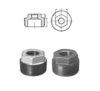 Raccord droit en fonte malléable classe 150 |   Raccord de tuyauterie femelle-femelle conforme à la norme ASTM pour les conduites de gaz naturel et d'eau