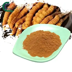 Produttore fornitura naturale Cordyceps Militaris estratto in polvere Militaris polvere 1%-98% cordycepina