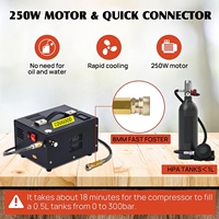 Compresseur d'air PCP 4500Psi 30Mpa alimenté par voiture 12V DC ou maison 110V AC avec convertisseur, pompe pour réservoir de paintball/plongée