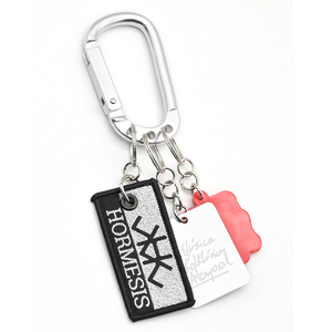 Hot Sale Promotional Keychain Customizable Whole Set Carabiner Key Chains with Jet Tags Rubber Key Charms