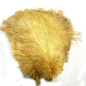 Đà Điểu Feather Gold 10 "-12" Lông Vũ Tự Nhiên Đám Cưới, Tiệc, Nhà, Trang Trí Tóc