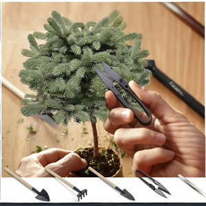 Kit de démarrage d'arbre bonsaï d'intérieur avec outils <span class=keywords><strong>cadeau</strong></span> de <span class=keywords><strong>jardinage</strong></span> domestique en fibre pour femmes et hommes - Product Image 4