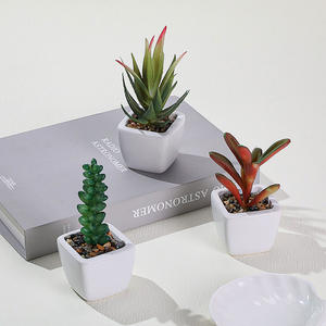 Plantas Suculentas Artificiales de PVC de Alta Calidad, Realistas, Duraderas y Ecológicas, en Maceta Cuadrada Pequeña, para Decoración Interior y Exterior del Hogar - Product Image 2