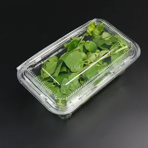 400กรัมย่อยสลายได้เองพลาสติกล้างสมุนไพรสด Clamshells ภาชนะบรรจุสีเขียวชีวิตกล่องบรรจุภัณฑ์ Microgreen