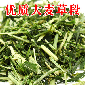 Barley Hay 10 Kg Dry Food For Small Animals Eco Friendly Pet <b>Grass</b> <b>Feeder</b> - Product Image 3