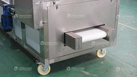 Hoge Kwaliteit Automatische Commerciële Fruitverwerking Zaadverwijderingsmachine Abrikozenprune Coring Pitting Destone Machine