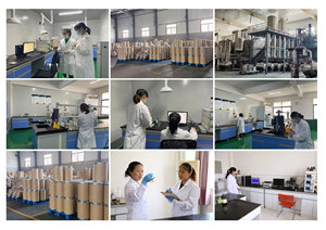 Julyherb ผงสกัด cyanotis arachnoids เกรดอาหารคุณภาพสูงสารสกัด <span class=keywords><strong>ecdysterone</strong></span> <span class=keywords><strong>UV</strong></span> 90% ~ 95% HPLC ตัวทำละลายผงสกัด24เดือน - Product Image 6