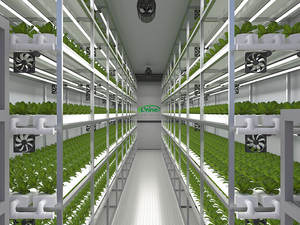 Contenedor Hidropónico Vertical Personalizado de 20 pies para Cultivo NFT con Controlador Inteligente y Control Remoto por WiFi para el Cultivo de Vegetales de Hoja - Product Image 3