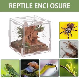 Caja de Cría para Reptiles Pequeños, Recinto Cúbico para Arañas, Mantis, Arañas Saltadoras, Tarántulas y Lagartos - Product Image 3