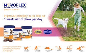 Multivitamínico para perros ODM/OEM-Vitaminas y minerales diarios Masticables suaves-Soporte para las articulaciones, salud del corazón, digestión - Product Image 4
