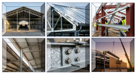 Structure en acier pour ferme, hangar à moutons en acier léger, grand hangar en acier pour bétail, abri préfabriqué pour animaux d'élevage