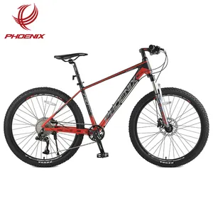 Bicicleta de montaña Phoenix de 26 pulgadas L-Two, bicicleta de montaña de 10 velocidades, marco de aluminio, bicicleta de freno hidráulico Mtb