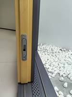 Hôtel de luxe moderne Patio aluminium plaqué glissière poignée de porte en verre serrure ascenseur panoramique porte coulissante pour Villa chambre hôpital