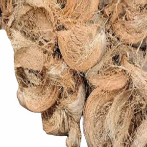 Fibre de noix de coco naturelle de haute qualité pour matelas brosses cordes tapis de culture paillis fibre de coco vente en gros de l'Inde - Product Image 1