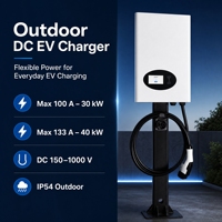 Estación de Carga para Vehículos Eléctricos, Estaciones de Carga de Piso de 30KW, 40KW, 60KW, CCS2, Carga Rápida DC, CCS1, Ocpp1.6j, 20KW