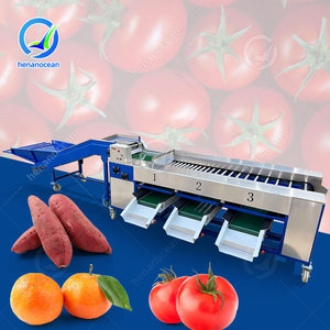เครื่องคัดขนาดกระเทียมอัตโนมัติ OCEAN เครื่องคัดแยกบลูเบอร์รี่ เครื่องคัดและคัดเกรดอินทผลัมแดงและมะม่วง - Product Image 1