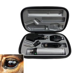Strumenti di apparecchiature ottiche oftalmiche per l'esame oculistico veterinario, come oftalmoscopi e retinoscopi. - Product Image 1