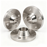 Bride à col soudé en acier inoxydable OEM, bride à face surélevée WN norme ANSI, taille personnalisée pour connexion industrielle de pipeline