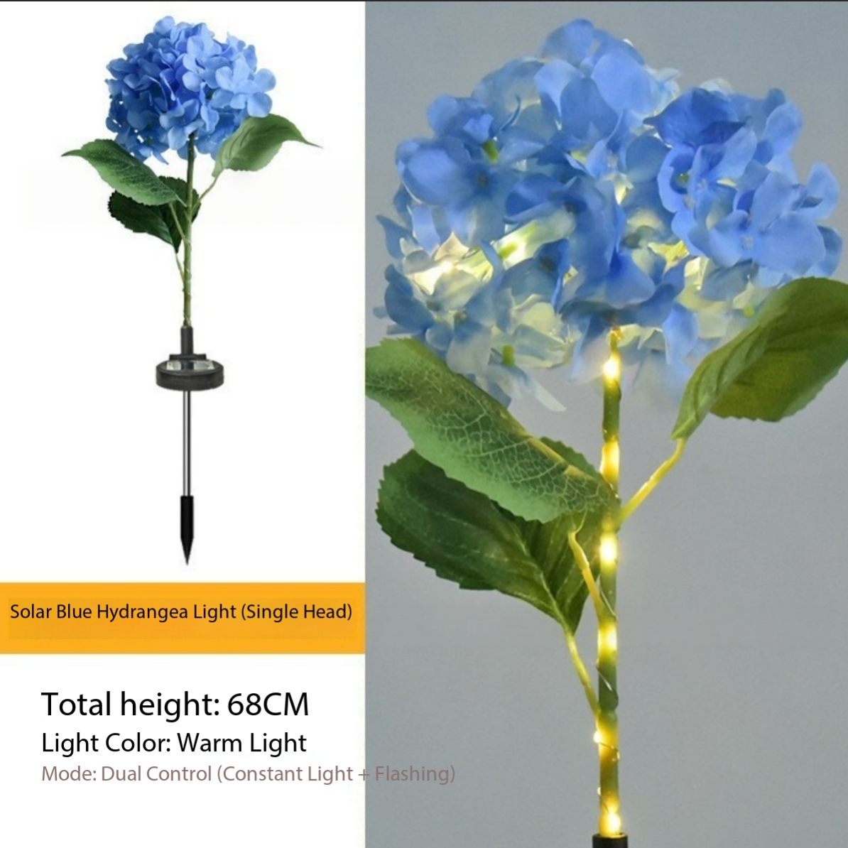 Hortensia azul de una sola cabeza