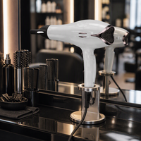 Sèche-cheveux ionique professionnel 2000W avec buse concentratrice, souffleur d'air chaud, outils de soin de beauté